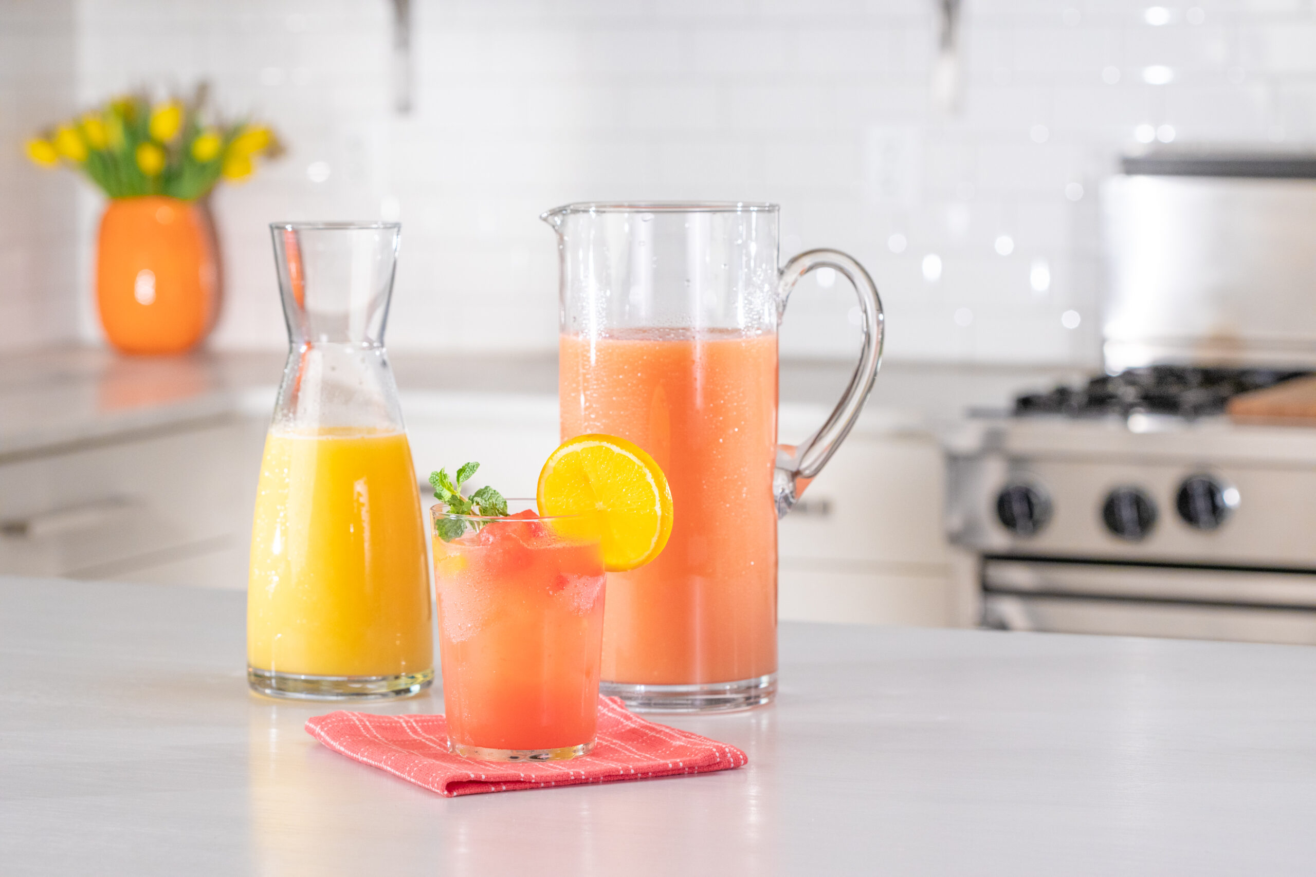 Florida Citrus Watermelon Lemonade 1 2